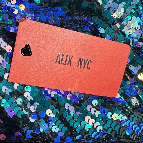 ALIX NYC Sedgwick Dress in Aurora - Picture 8 of 9